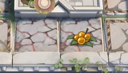 网3